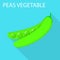 Peas vegetable icon, flat style