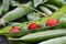 Peas and wild strawberries