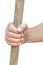 Peasant hand holds old wooden cudgel