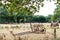 Peasant household with abandoned farm equipment