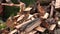 Peasant worker man chop wood nead firewood pile. Closeup