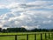 Peasantry with lush meadows, trees, fence and blue cloud sky at