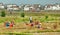 Peasants working in the fields. Dali, Yunnan province, China.