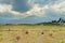 Peasants working in the fields. Dali, Yunnan province, China.