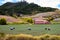 Peasants working on a green onion field at the Boyaca Department in Colombia