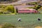 Peasants working on a green onion field at the Boyaca Department in Colombia