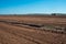 Peat agricultural field