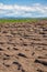 Peat banks of river Kolyma