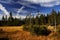 Peat-bog in Giant mountains