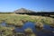 Peat bog at Giant mountains