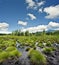 Peat bog landscape - the national park Sumava Eur