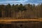 A peat bog in the wintertime