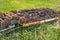 Peat Drying at Castlebay at Barra in the Outer Hebrides