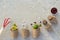 Peat pots with seedlings, seeds, pansy flowers, vegetables on grey concrete background