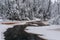 Peat river in the forest. Snow-covered deciduous grove