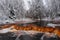 Peat river in the forest. Waterfall. Snow-covered deciduous grove