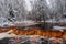 Peat river in the forest. Waterfall. Snow-covered deciduous grove