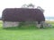 Peat roof stone house- Culledon, Scotland