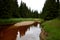 Peat rusty water in a stream with yellow river sand deposits and grassy banks in a spruce forest in the mountains