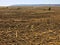 Peat soil as a background. Dirt texture as background