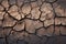 Peats resilience Texture of dry, broken peat with slight moisture