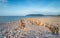 Pebble Beach at Porlock Weir