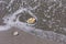 Pebble coastline. Seashore with transparent water and small stones