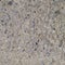 Pebble concrete texture