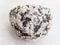 pebble of Diorite stone on white marble