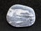 pebble of gray Gneiss stone on dark