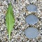 Pebble Leaf Zen Style Background