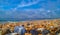 A pebble level view along a colourful Sussex Beach.