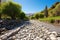 pebble path leading to a sequestered hot spring