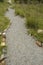 Pebble pathway in wild garden