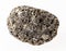 pebble from pumice stone on white