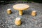 Pebble road Stone bench and Stone table