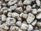Pebble stone exterior wall background