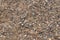 Pebble stone texture beach pattern ground background