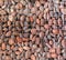 Pebble texture behind lattice. Round pebbles and metal mesh close-up. Unusual background from a grid with stones. Grunge