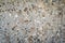 Pebbled Concrete Background