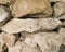 pebbles close-up, marble pebbles, solid crystalline metamorphic forms of gray beige limestone