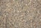Pebbles concrete floor full background, texture, closeup view with details