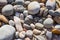 Pebbles and limpet shells on a beach