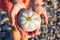 pebbles with a painted daisy in the hands of a child on the background of a pebble beach