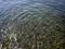 Pebbles, rocks, seaweed on the sea floor through clear water in shallow water