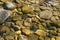 Pebbles and rocks in a shallow stream with ripples reflecting sunlight in the water