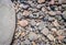 Pebbles texture. Colorful stones on the ground. Top view of Natural gravel on the summer beach. Stone with copy space