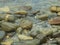Pebbles in water at Lanta