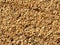 Pebbly sand texture background