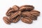 Pecan Carya illinoinensis, edible nut